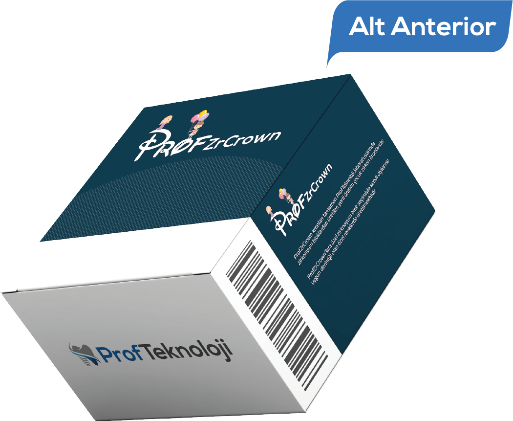 Alt Anterior (2 Adet)