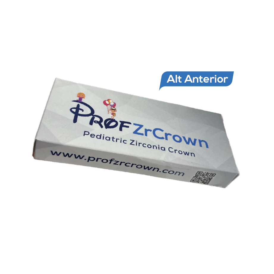 Alt Anterior Set (12 Adet)